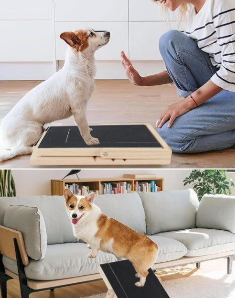 Adjustable Height Dog Scratcher Nail Scraper