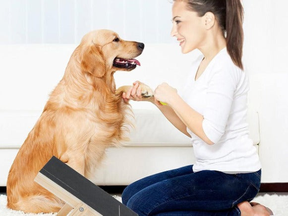 Adjustable Height Dog Scratcher Nail Scraper